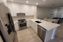 Lioher Zenit Blanco cabinets kitchen remodel