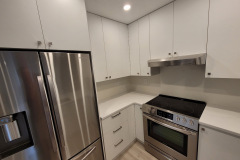 Lioher Zenit Blanco cabinets Kitchen remodel
